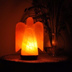 Himalayan Pink Salt Angel Shape Lamp