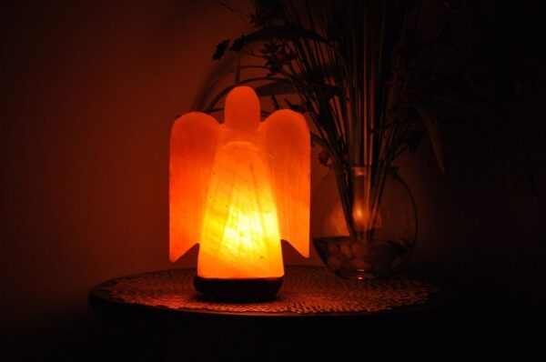 Himalayan Pink Salt Angel Shape Lamp